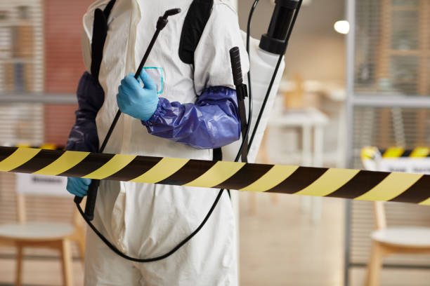 Professional Odor Removal technician working in Washington, IL