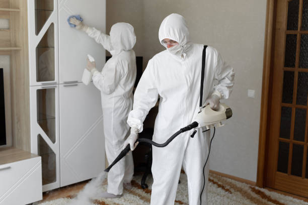24/7 Emergency Odor Removal experts in Washington, IL