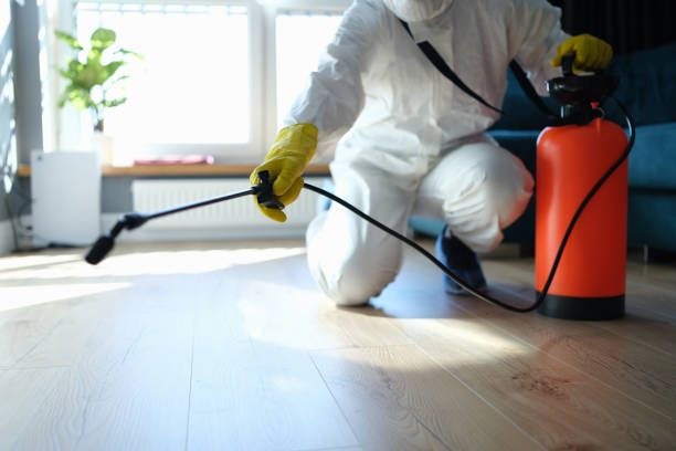 Reliable Odor Removal contractor in Washington, IL by Crime Scene Cleaner Online